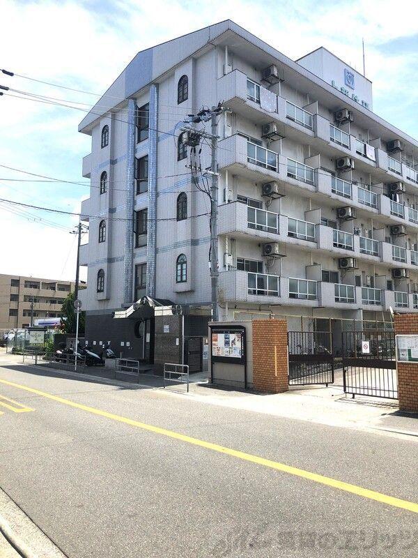 エクセレント上新6