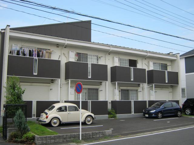パピヨン橘