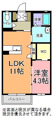 シャーメゾンRIENO C(1LDK/1階)の間取り写真