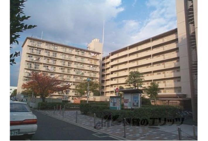 桂ガーデンハイツ(3LDK/2階)の外観写真