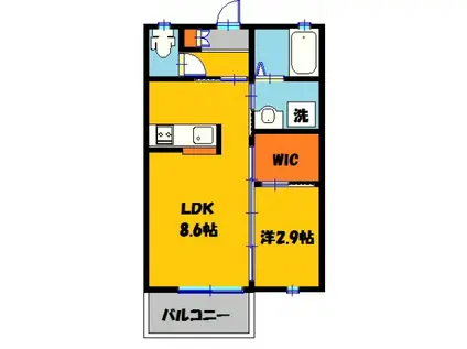 シャメゾン大寛(1LDK/1階)の間取り写真