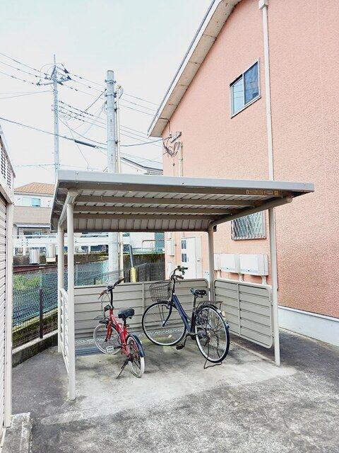 もみの樹 II