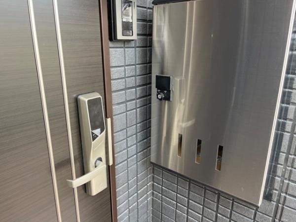 ハイバード