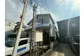ラベンダー