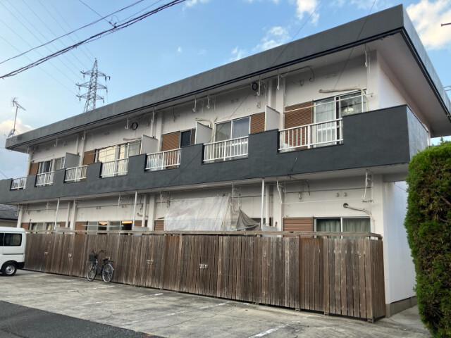 MSコート