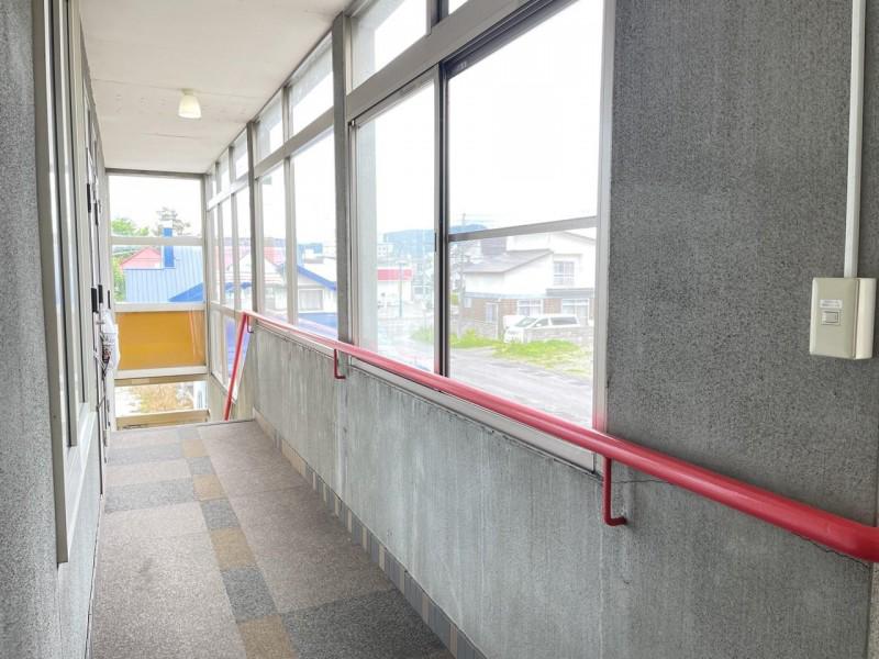 ヒノキ西4条