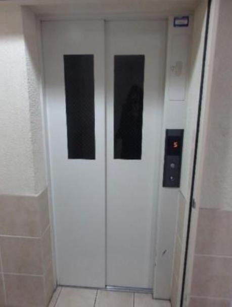 ルピナス