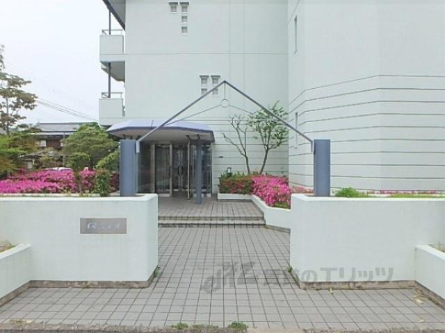 イマージュV