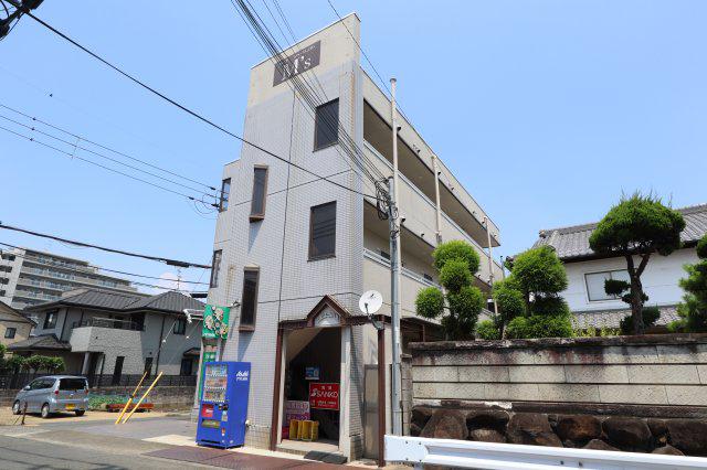エムズ新賀(1K/2階)