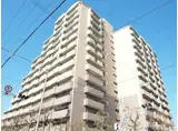 サニーコットン住之江