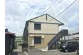 グリーンパラソル