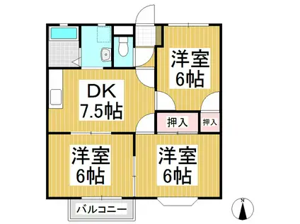 アネックス寺澤(3DK/1階)の間取り写真