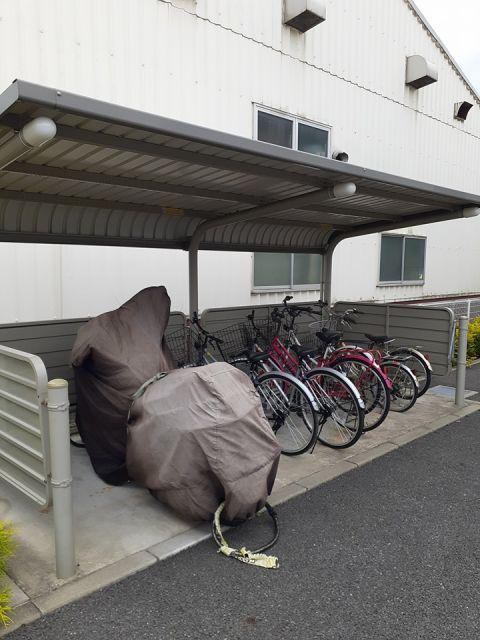 ミニョン・アンジュ.FII