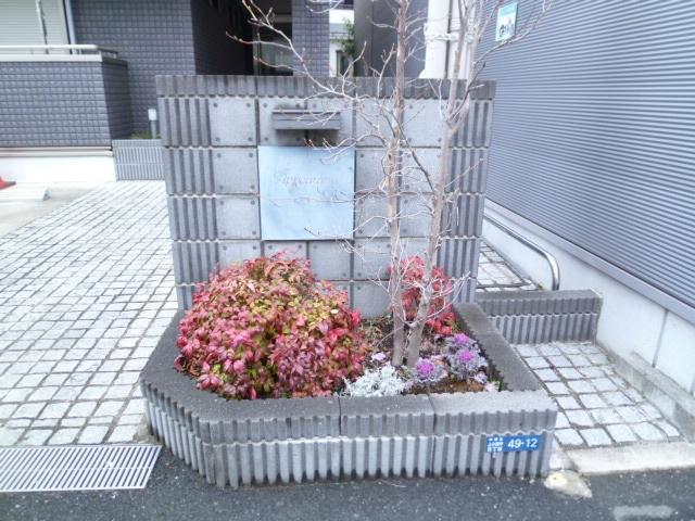 アピアランス