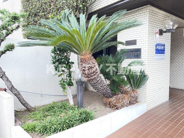 大森山王濱栖鳳