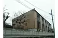 レオネクストミズキ
