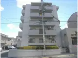 メゾンミソノ
