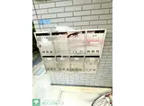 ウッドベイビー