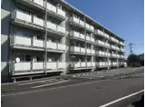 クラウンズマンション天川大島