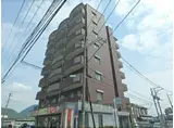 シャインローヤル