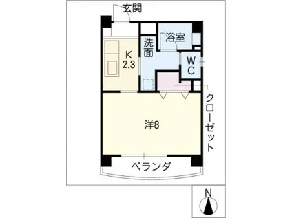 ヒルズ丸山(1K/3階)の間取り写真