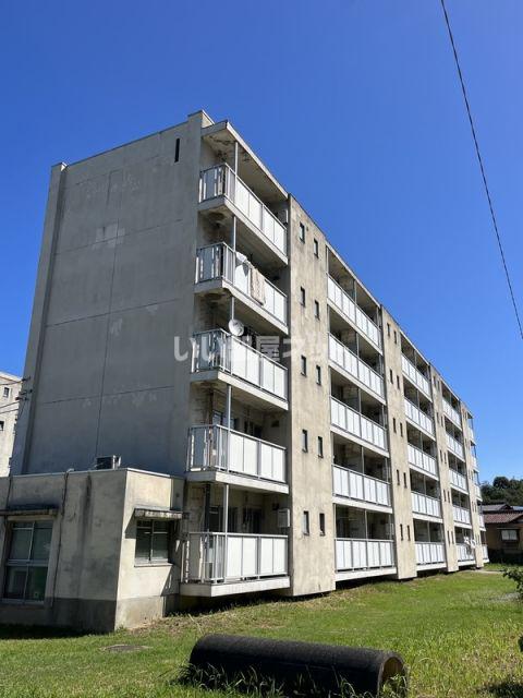 OASIS UMEDAIRA 1