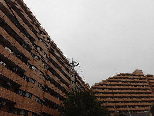 ライオンズプラザ大宮