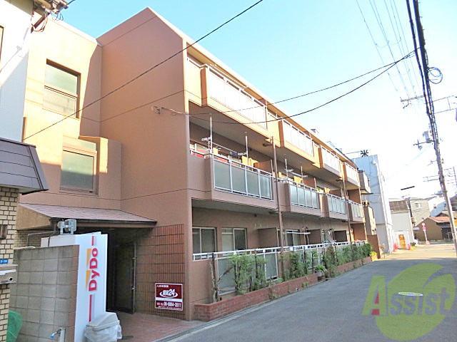 アペックス15