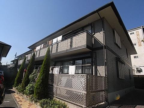 フェルトラウト24