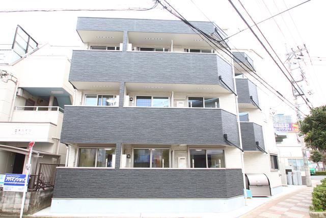 アカテリア蕨