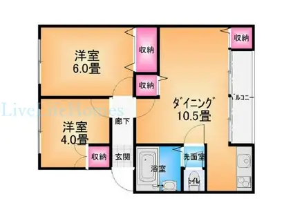 光明マンション(1SLDK/3階)の間取り写真
