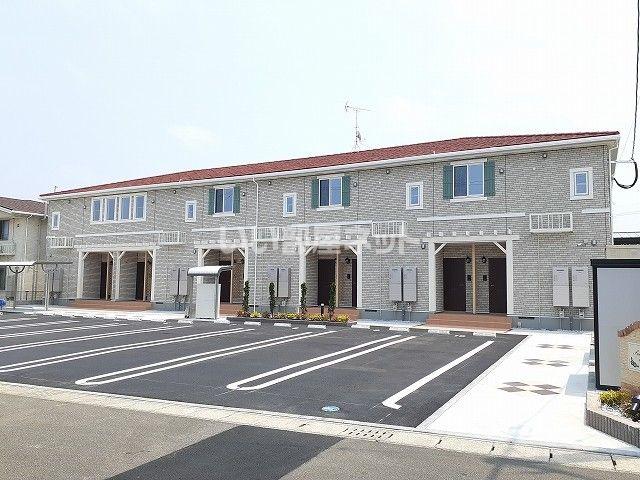 サンフラワー