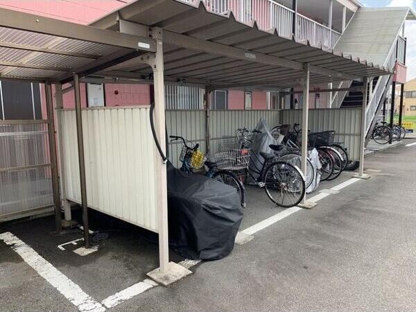 SURPLUS THREE わかば