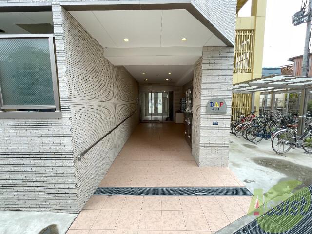 DAP正雀