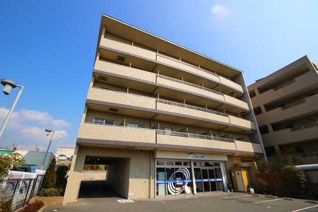 彩都シオン