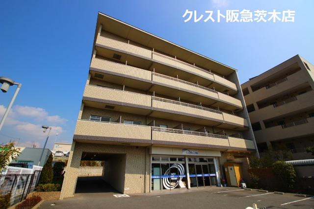 彩都シオン