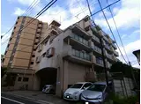 マーブル目白