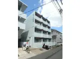 セリーヌ伊島