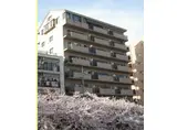 バイムフルス白金I