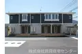 ストレリチア