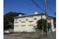 シャイン・グリーン