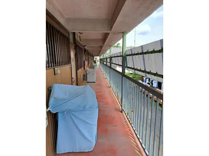 グリーコーポ第一(2DK/2階)の外観写真