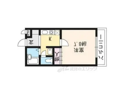 ラ・ヴィ松ヶ崎(1K/1階)の間取り写真