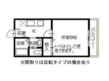 三恵マンション A棟(1K/2階)の間取り写真