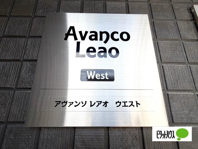 AVANCO・LEAO