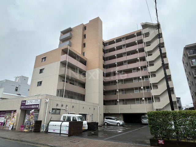 エヴァーグリーン新羽