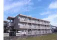 ア・ドリームかしあげI