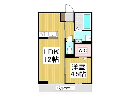 フェリシアパレス(1LDK/3階)の間取り写真