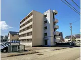 プラシード広岡