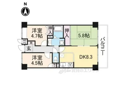 ライオンズマンション大和八木(3DK/5階)の間取り写真